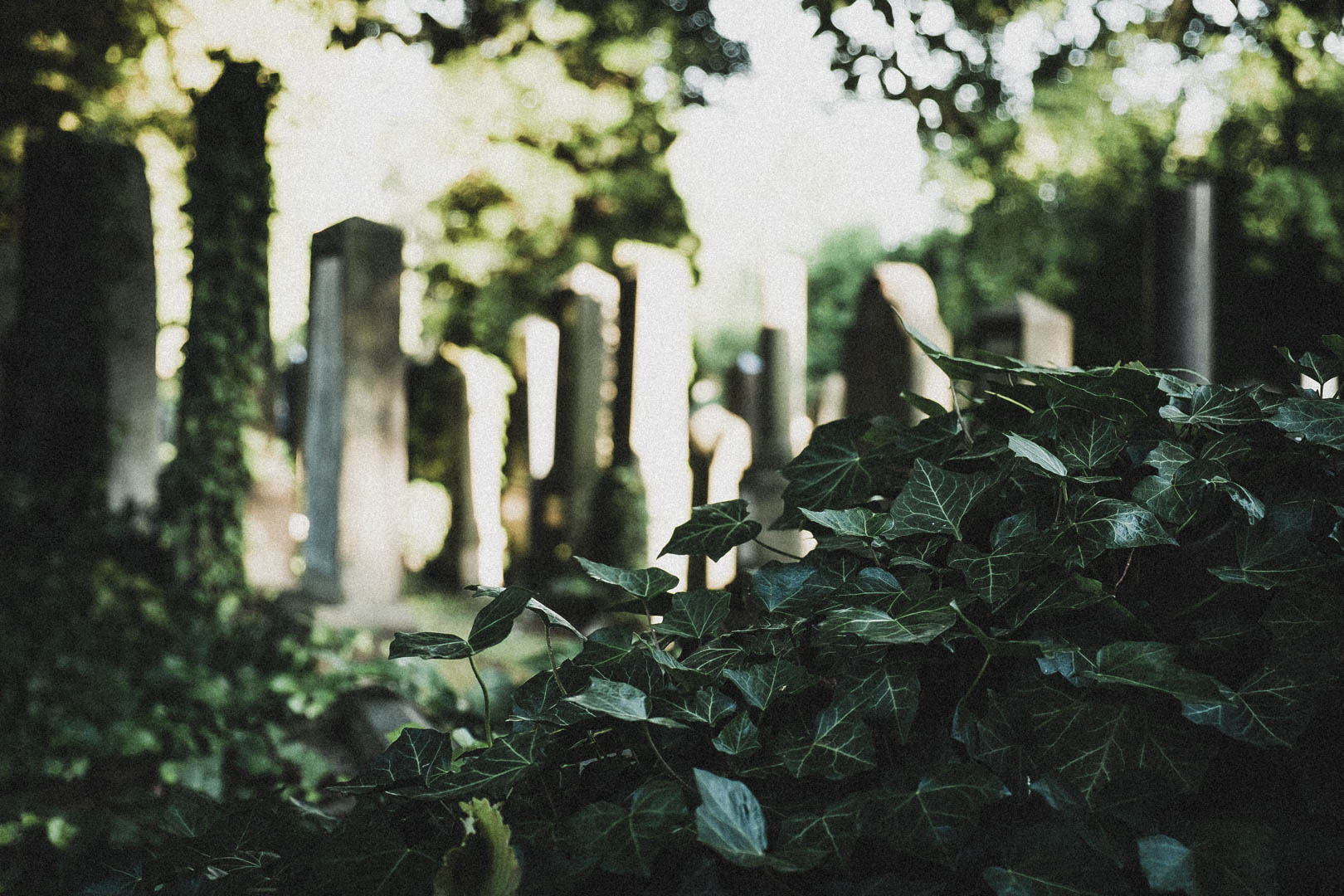 Jüdischer Friedhof Kassel-Bettenhausen